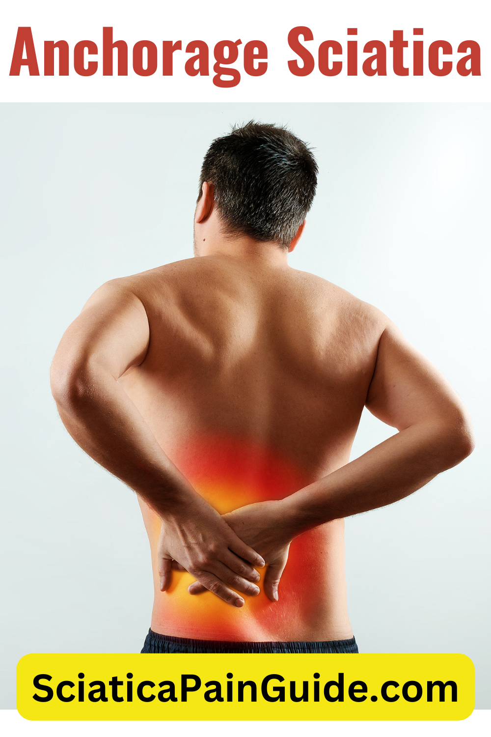 Anchorage Sciatica Sciatica Pain Guide anchorage-sciatica-sciatica-pain-guide