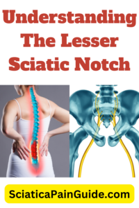 Lesser Sciatic Notch.png